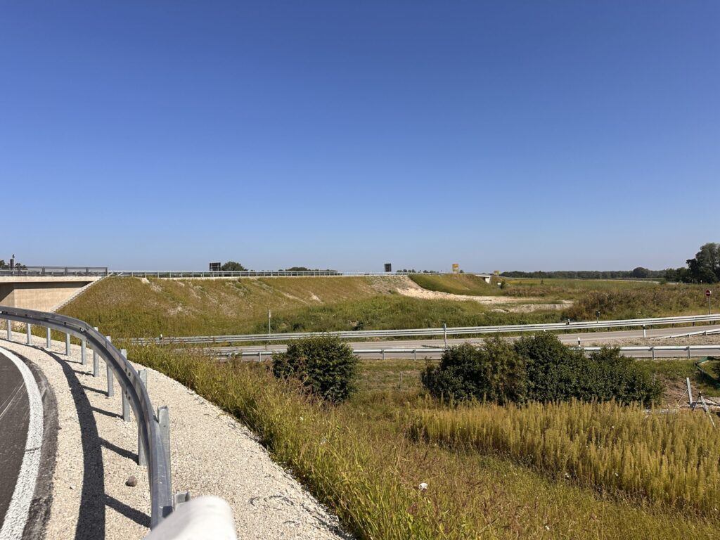 Straßenbegleitgrün